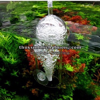 CỐC SỦI CHỐNG VĂNG OXI