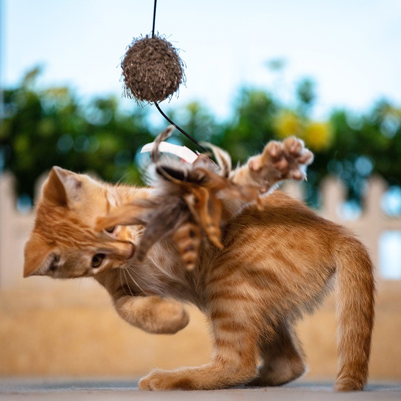 Gigwi Cần câu dài với lông vũ, quả cầu