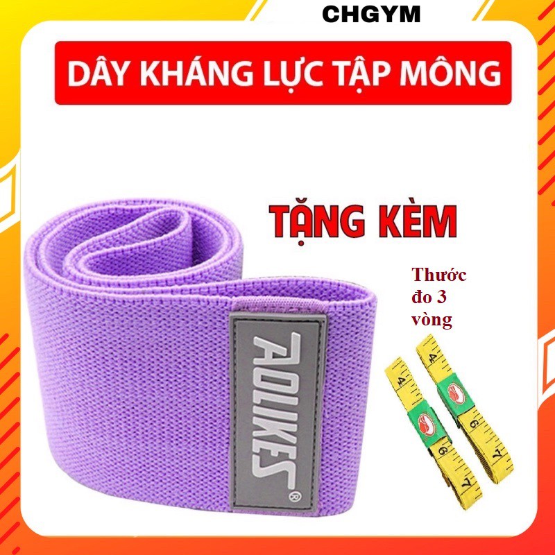 Dây kháng lực tập gym, dây miniband tập mông đùi ChGYM vải