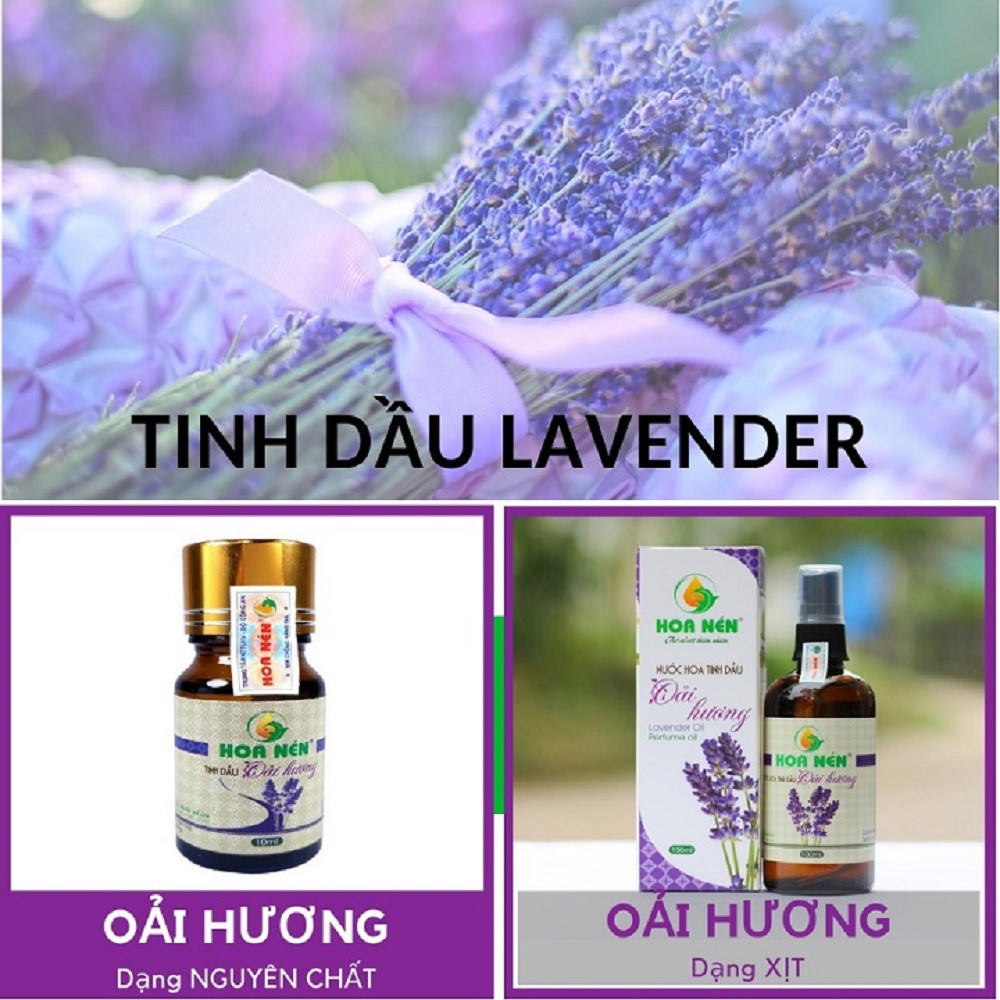 Tinh dầu Oải hương Lavender (Chọn loại 10ml và 100ml) thơm phòng thư giãn nhãn Hoa Nén thiên nhiên hàng Việt Nam