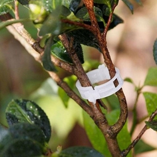 1 Kẹp Cố Định Cây Rau Củ Quả Cà Chua Cà Chua Mới Bằng Nhựa Tiện Lợi