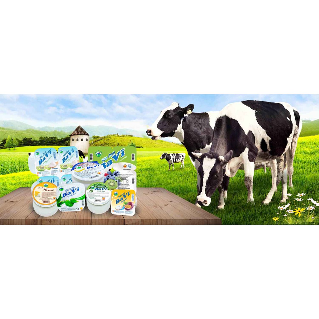 Sữa Chua BA VÌ NÚI TẢN thùng 48 hộp x100g (Nhận đơn qua Grab/nowship hoặc liên hệ Công ty ship trực tiếp)