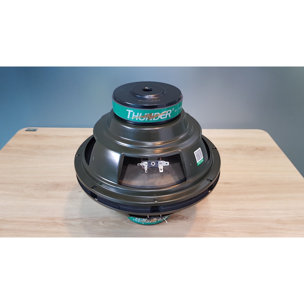 01 Cặp - LOA BASS 25 cm