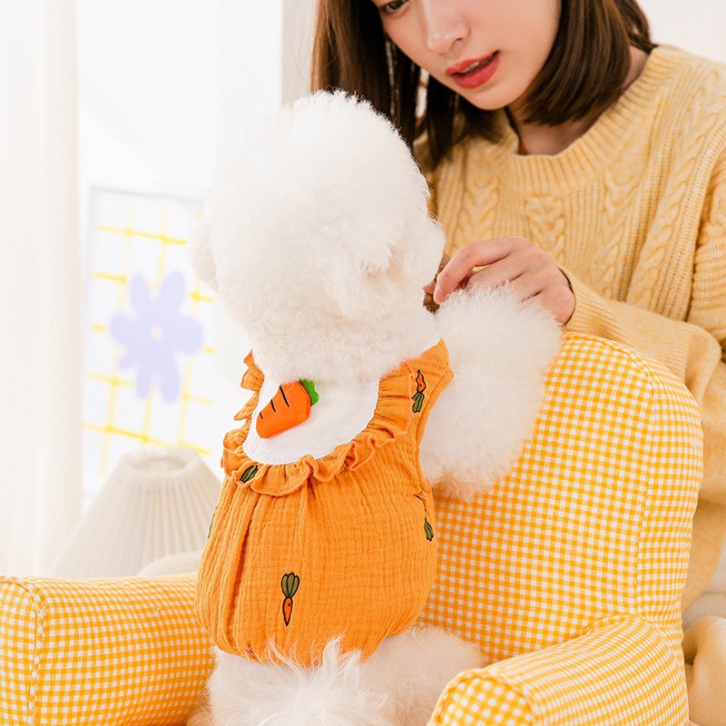 DP219 - Áo baby doll lót lông mỏng cho chó mèo, quần áo thú cưng