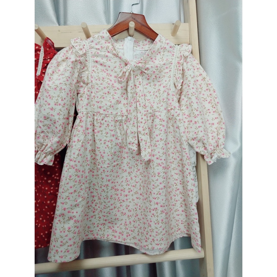 Váy Cho Bé Gái Thu Đông Hml  Hoa Nhí Bèo Hạt Ngọc, Đầm Bé Gái Size Đại 1-10 Tuổi Mã A46