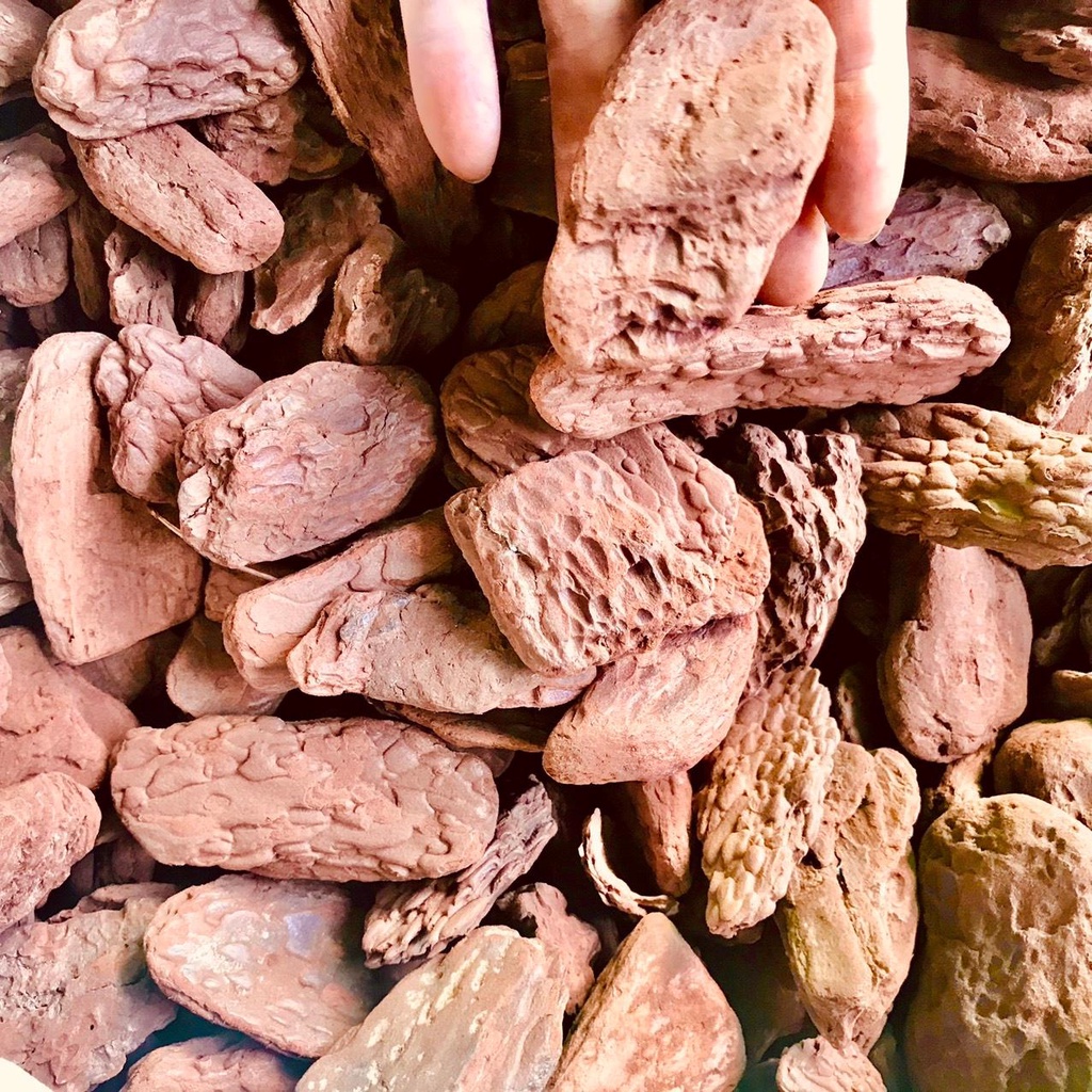 Vỏ thông các size lớn dành cho kiểng lá, gói 1kg  Chuyên Đỗ Shop