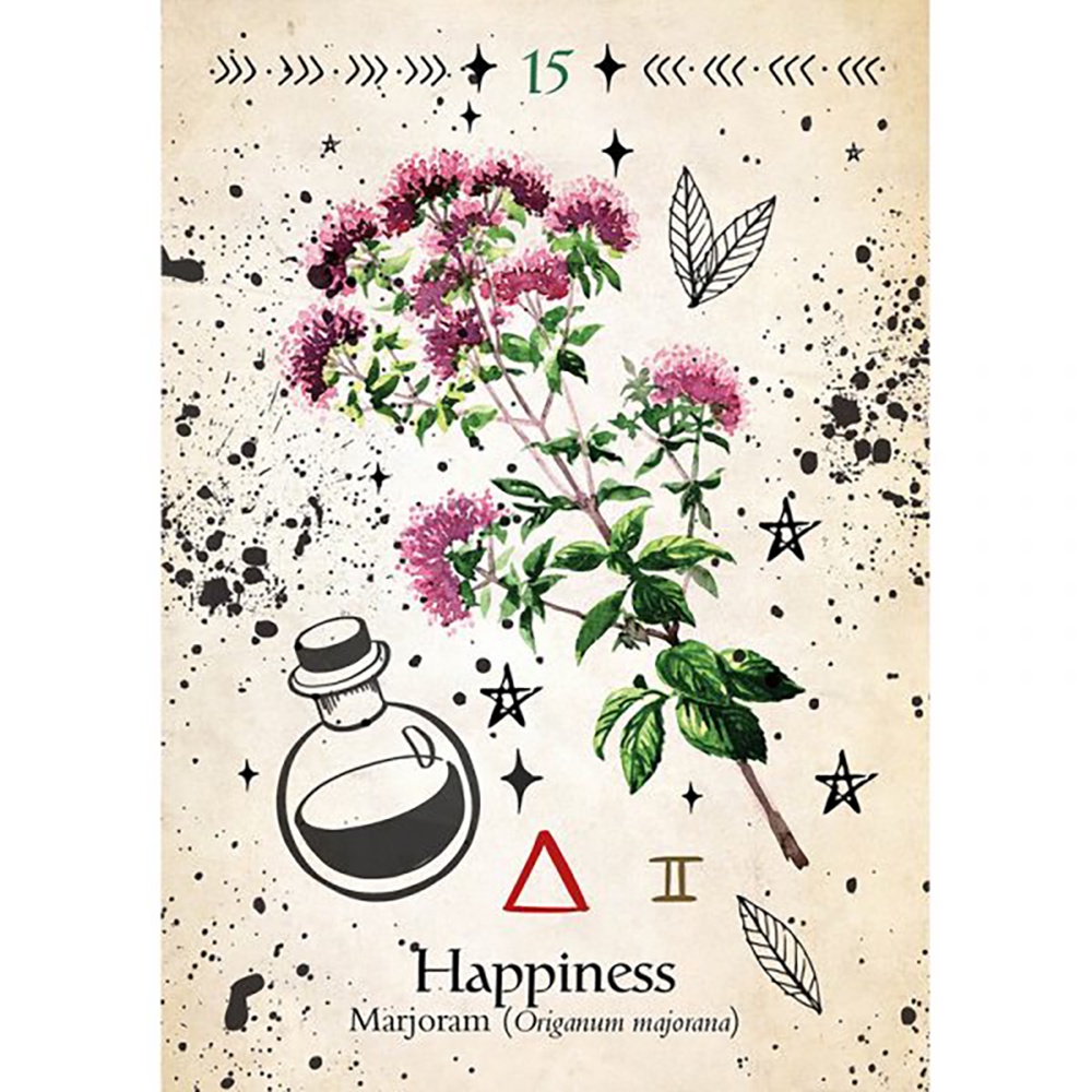 Bộ Bài Green Witch Oracle - Thông Điệp Từ Khu Vườn Thảo Mộc 44 Lá Bài SB88