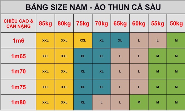 ÁO THUN NAM STYLE CHẤT, THUN CÁ SẤU AN91 | BigBuy360 - bigbuy360.vn