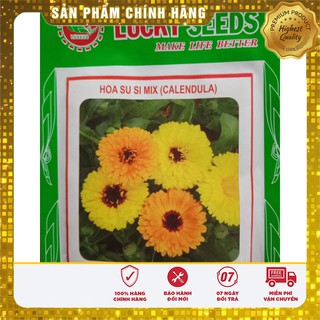 Hạt Giống Hoa Cúc Su Si mix ( 50 hạt )