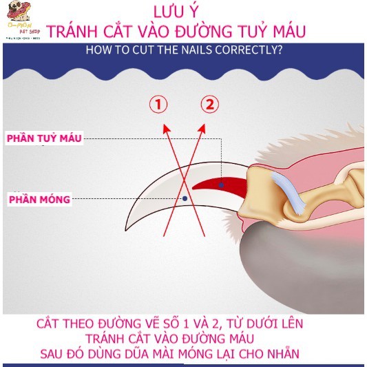 Kìm cắt móng LB cho chó mèo có lò xo và đầu cắt khỏe hạn chế vỡ móng cho thú cưng - OmonPet