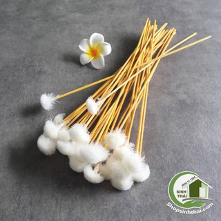 bán sỉ 5 cây Bông Ngoáy Tai - cây bông ráy tai- bông ngoáy tai