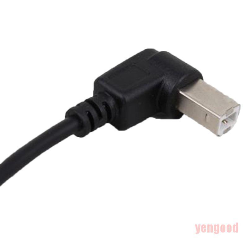 Máy In Usb Type B Đực Sang Usb 1 Cái Chất Lượng Cao