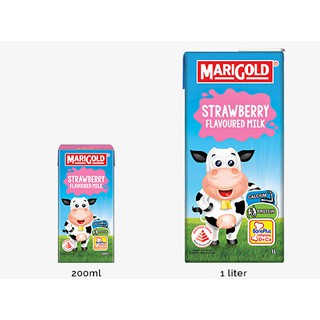 Combo 3 Lốc Sữa Marigold vị dâu, công thức Bone Plus