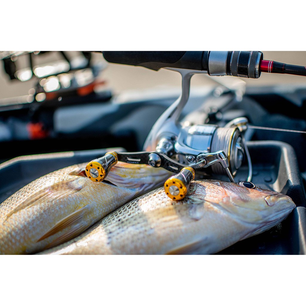 Núm Tay Cầm Gomexus 20mm Dành Cho Guồng Quay Máy Câu Ngang Shimano Daiwa 1000-4000 A20