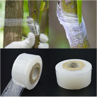 Băng keo ghép cây tự hủy giúp bảo vệ mối ghép, cuộn dài 120m
