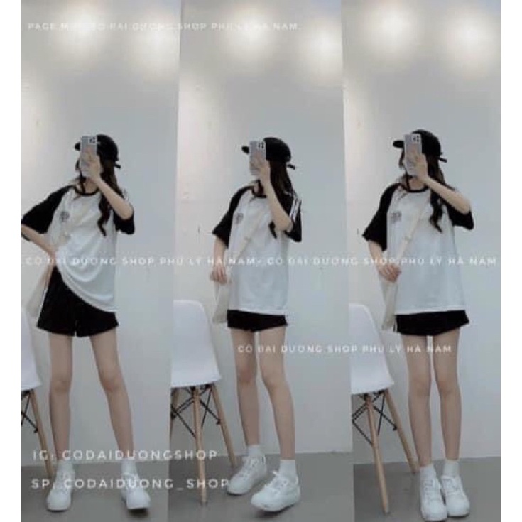 [ Rẻ vô địch ] Set bộ đùi phối raplang chất cotton