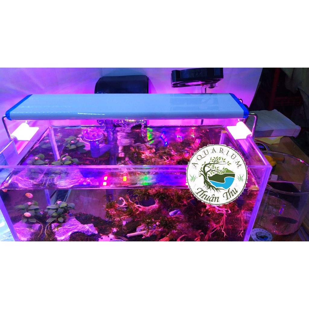 Đèn máng 6 dãy led 3 CHẾ độ màu RGB 10000K KaoKui các kích thước 30 40 50 60 cm cho bể cá bể thủy sinh siêu rẻ