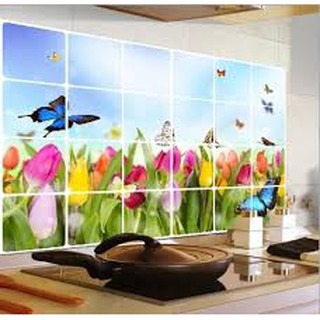 DECAN DÁN BẾP 90X60CM