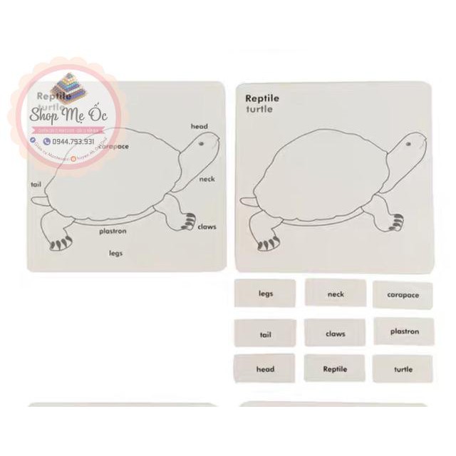 Giáo cụ montessori - Hộp thẻ học 3 phần động vật