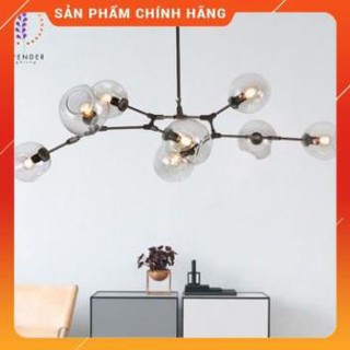 Đèn thả cành táo 6 Bòng đèn thả 8 bóng