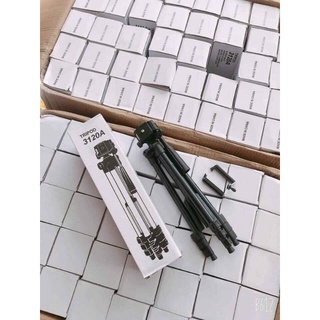 Đèn Livestream.
