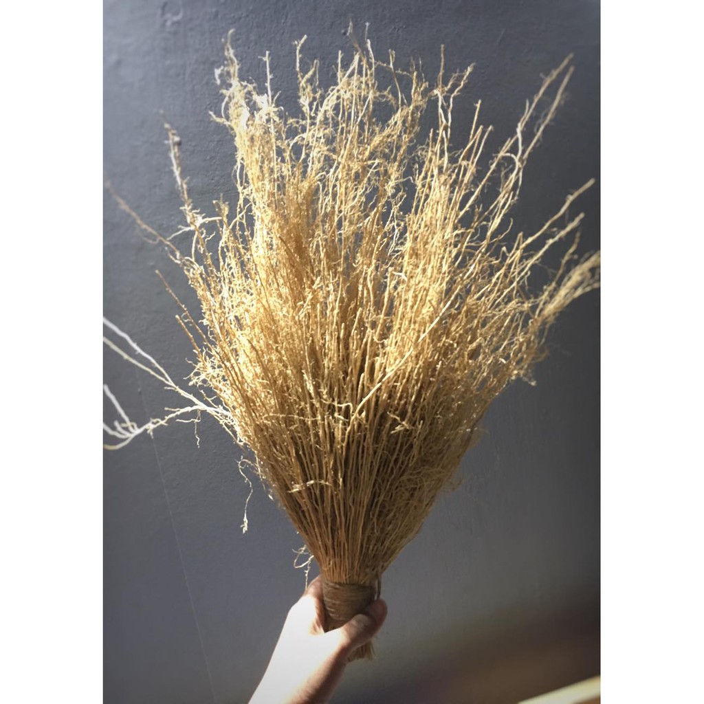 Rễ cỏ Vetiver trang trí