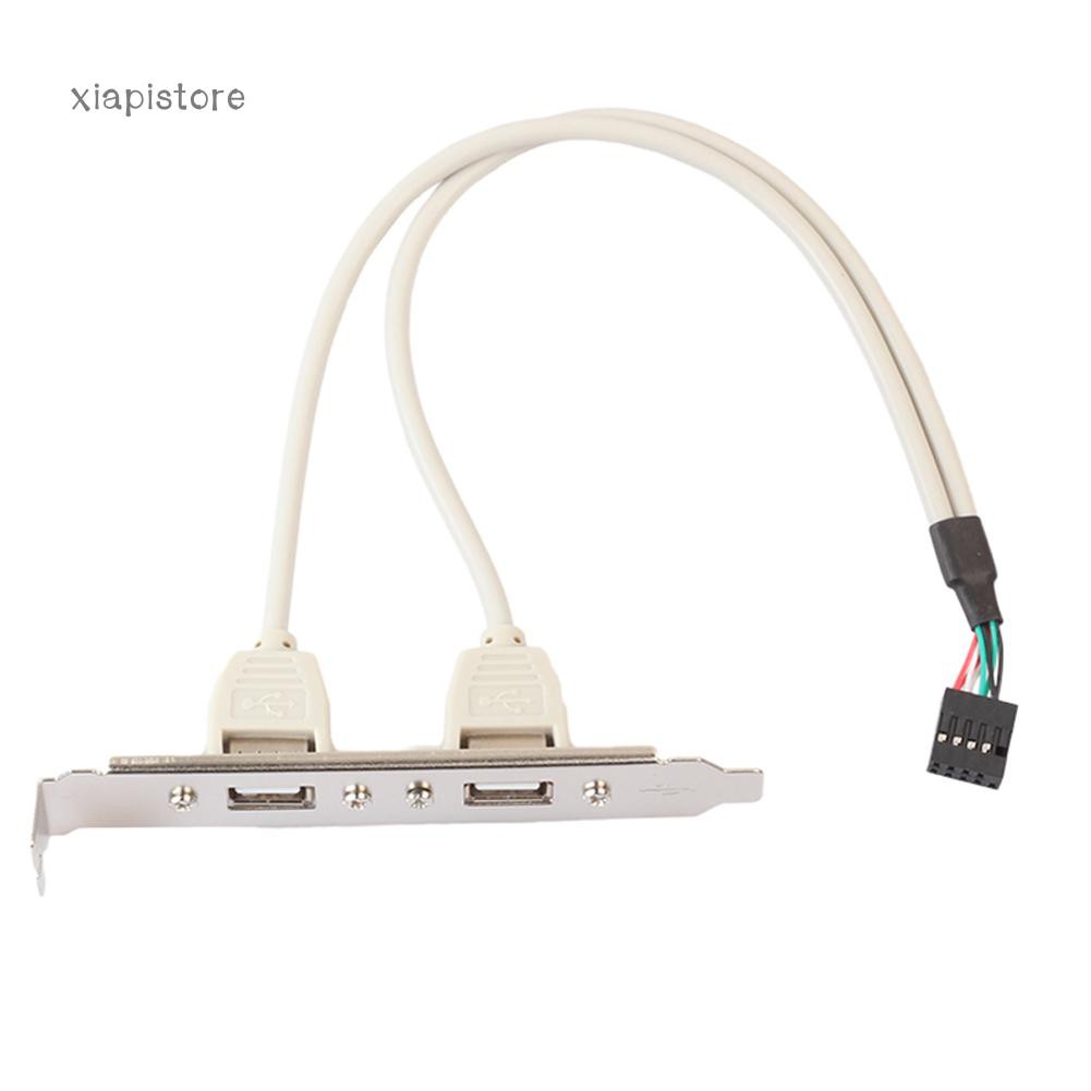 Dây cáp dài 30cm chuyển đổi giác cắm 9 pin sang 2 cổng USB 2.0 A