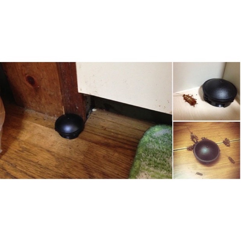 Viên diệt gián nội địa nhật bản 12 viên