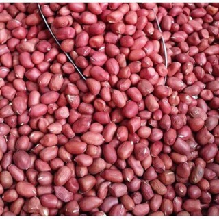 Nhân lạc (đậu phộng) đỏ NGHỆ AN - chất lượng cao