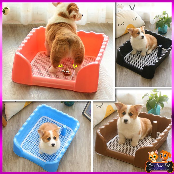 Khay vệ sinh cho chó thành cao - Loại DÀY  - Size 40x40x15cm - Ngăn chất bản ra ngoài, dễ dàng vệ sinh