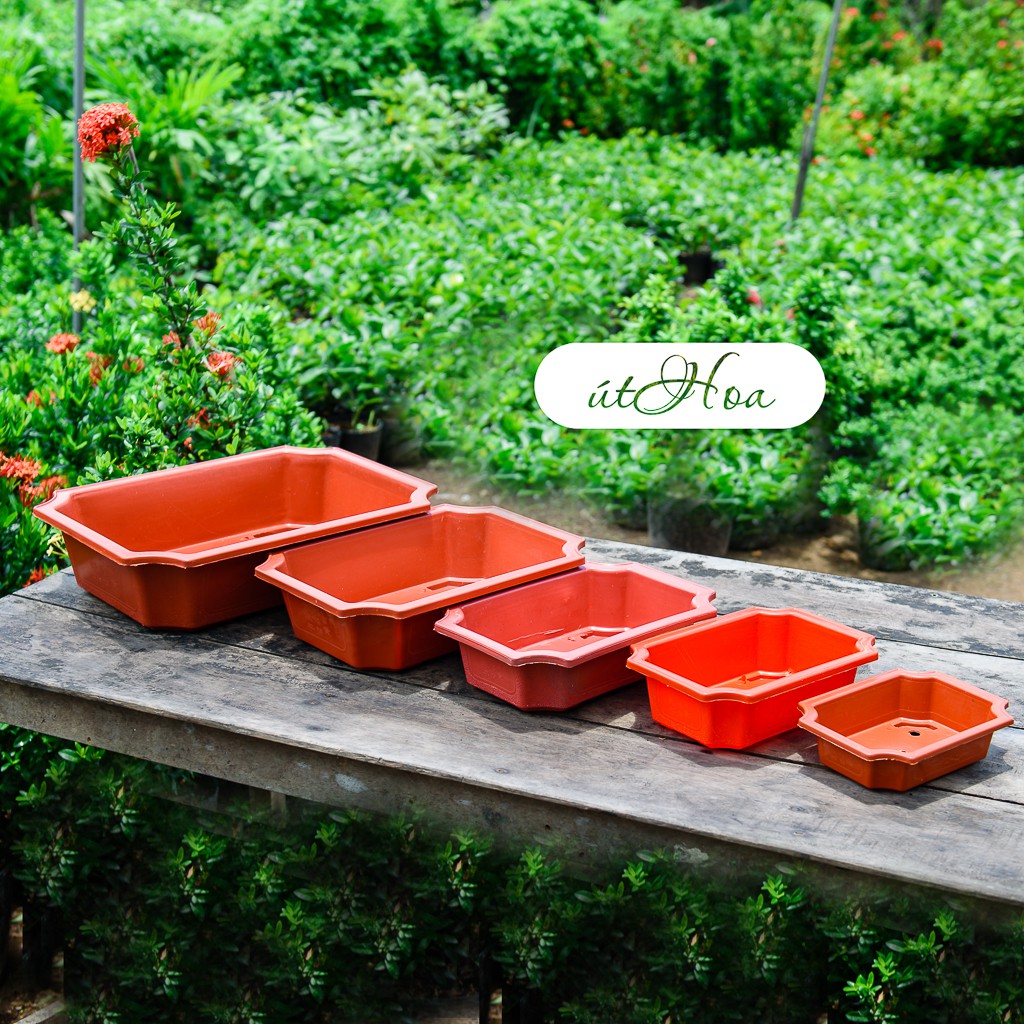 Chậu trồng kiểng Bonsai chữ nhật nhiều màu