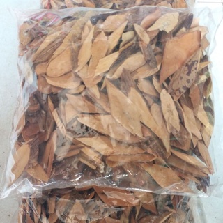 cây nổ gai phơi khô 1kg