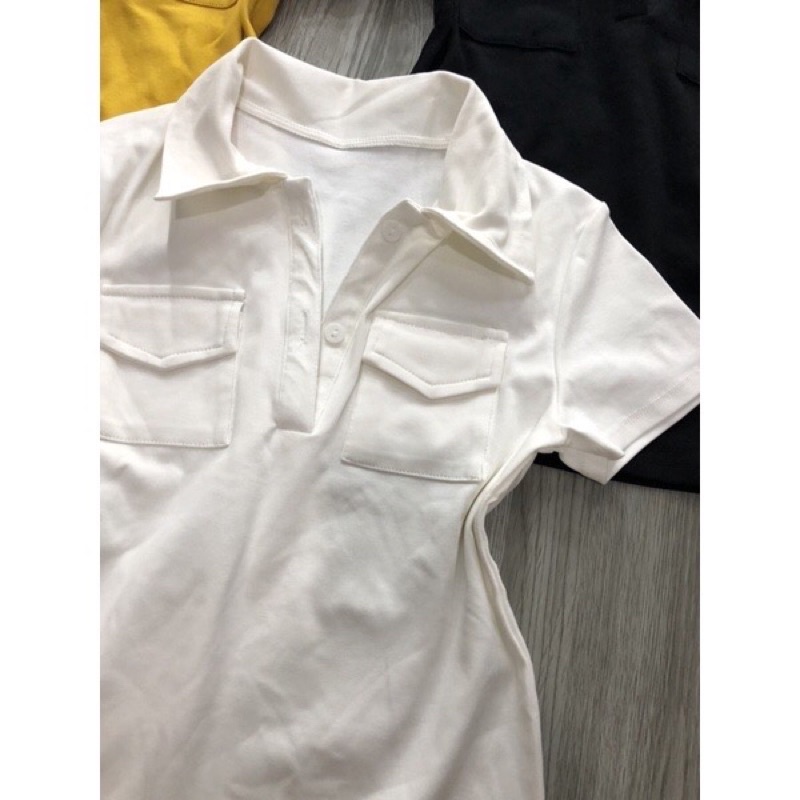 Áo thun body cổ bẻ 2 túi -áo thun borip nhiều màu kèm hình và video