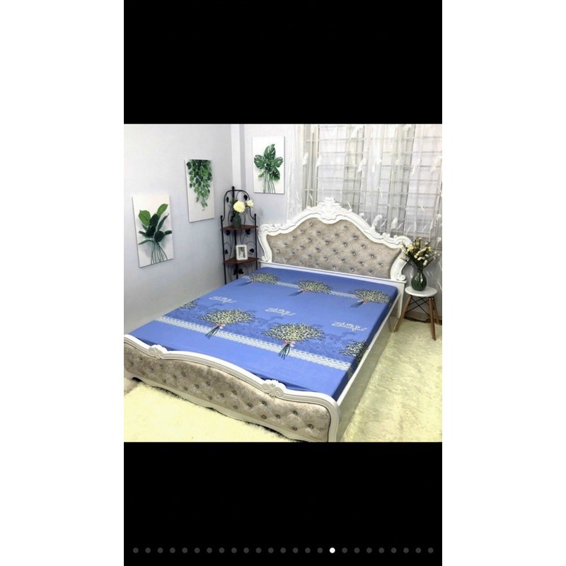 Sét ga chống thấm Cotton kèm vỏ gối đầu Amazing Bedding. | BigBuy360 - bigbuy360.vn