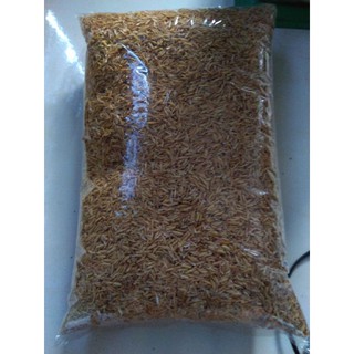 10kg Vỏ trấu sạch hạt to