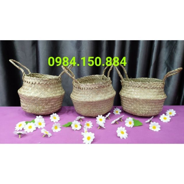 Combo 3 giỏ cói trồng cây, làm túi xách