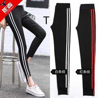 Quần legging 2 sọc lệch gấu_TDI82