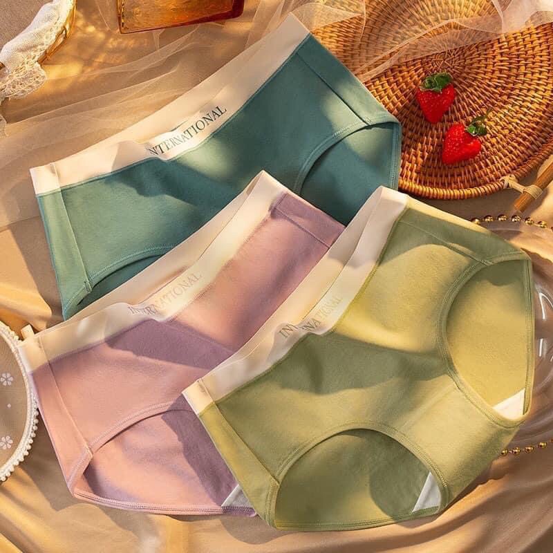 Quần Lót Nữ Cotton Cạp Su Viền Chữ Kháng Khuẩn Siêu Sịn 8858