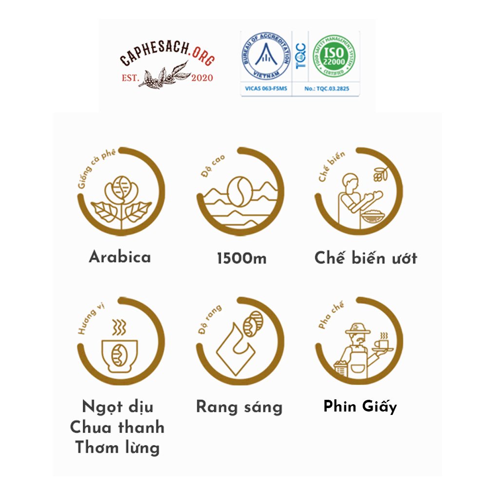 [COMBO] - Cà phê pha phin ĐẬM NHÂN CÁCH VIỆT &amp; HỘP CÀ PHÊ TÚI GIẤY LỌC ARABICA LIGHT ROAST