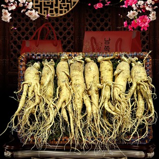 Nhân Sâm Tươi Hàn Quốc 8 củ/kg