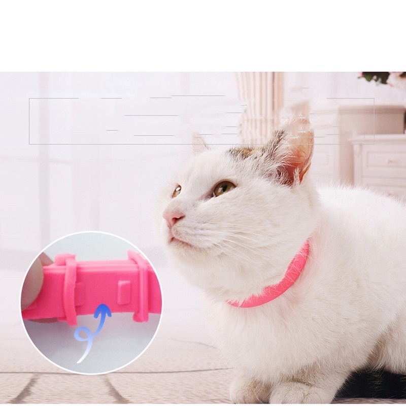 Vòng cổ đeo trị, ngừa ve, rận, bọ chét ở chó mèo