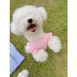 Áo vai bèo đính nơ dành cho thú cưng