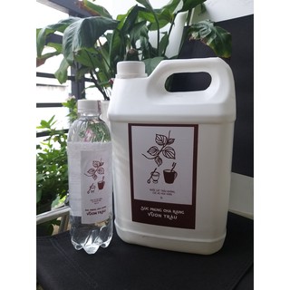 Nước súc miệng - chà răng Vườn Trầu can 5 lít