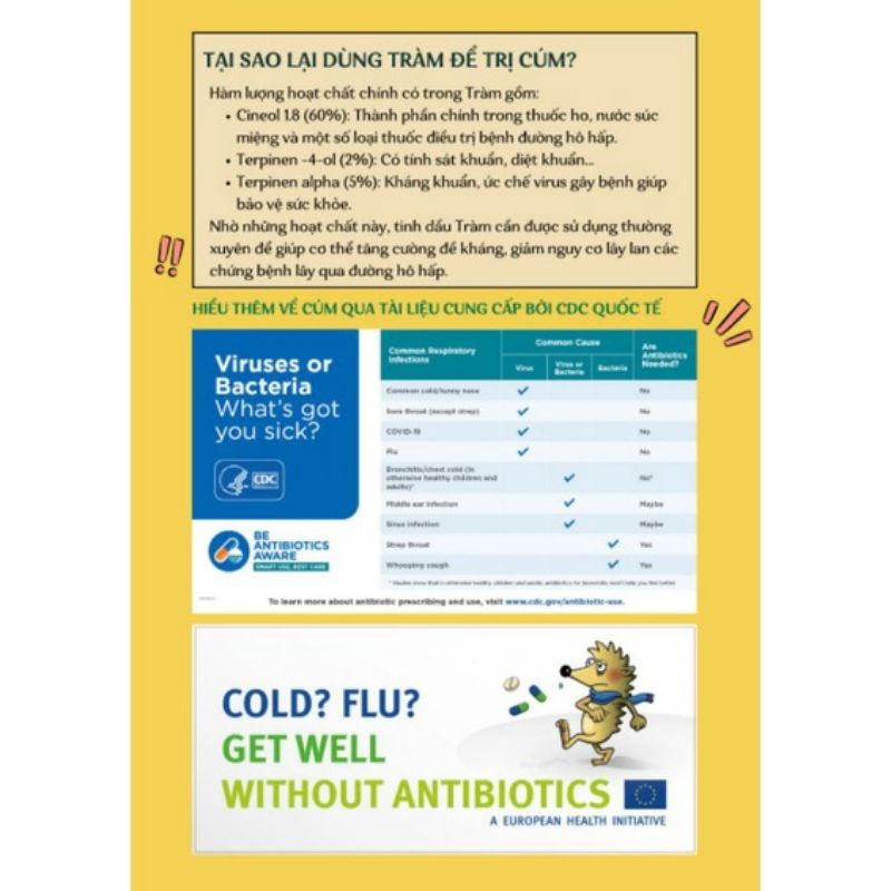 Tràm Xông XK Viên Minh 15ml 50ml HÀNG CHUẨN