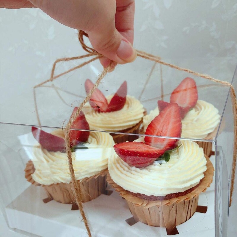 Hộp trong đựng bánh cupcake