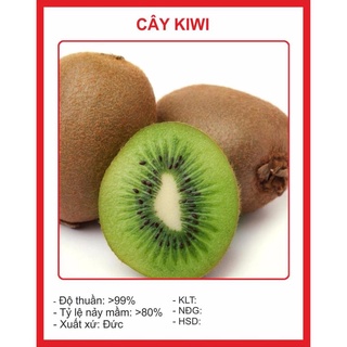 Hạt Giống Quả Kiwi 30 Hạt hạt giống bốn mùa