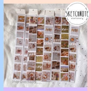Sticker dây phong cảnh chống nước ST090