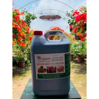 CHẾ PHẨM TRỨNG - CÁ - ĐẬU TƯƠNG (Chai 1 lít)