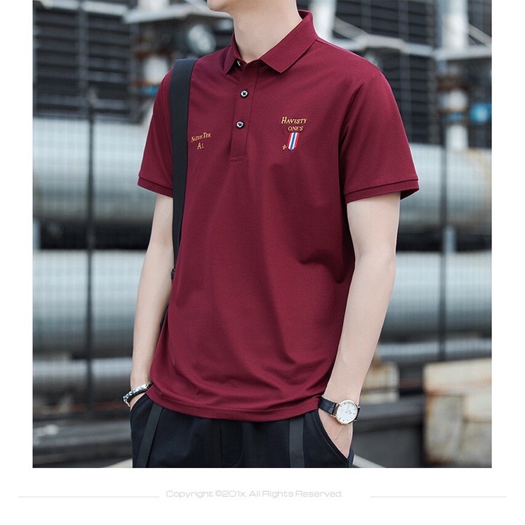 Áo thun Polo nam cổ bẻ TEDI vải cá sấu Cotton xuất xịn, chuẩn form,sang trọng-lịch lãm | BigBuy360 - bigbuy360.vn