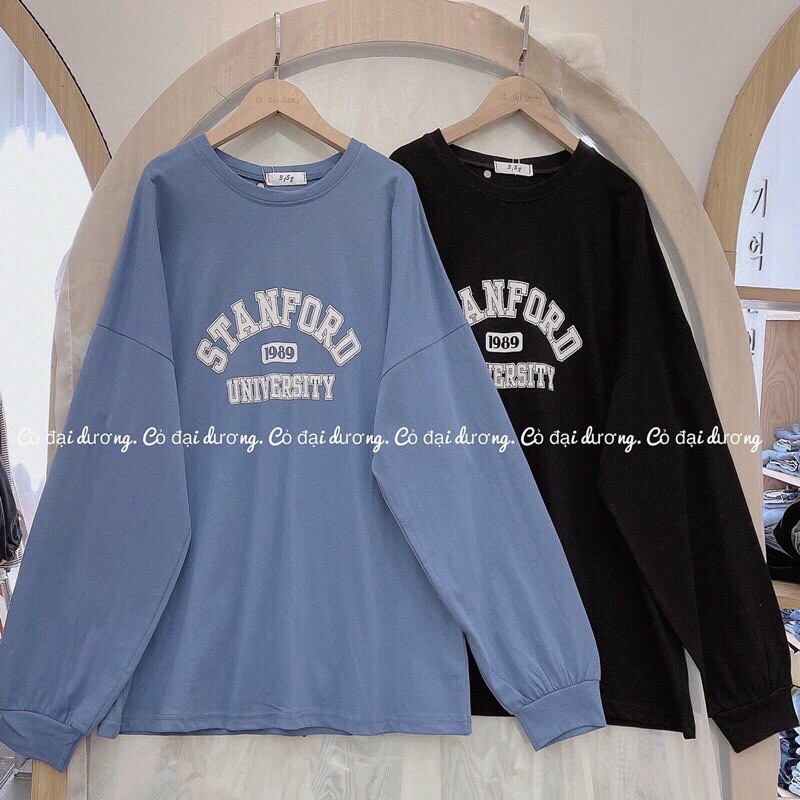 Áo Pull Dài Tay Thun Nữ Thu Đông Stanford Dáng Rộng Đẹp Unisex